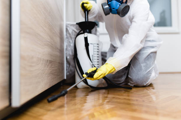 Best Wasp Removal Services  in Elon, NC