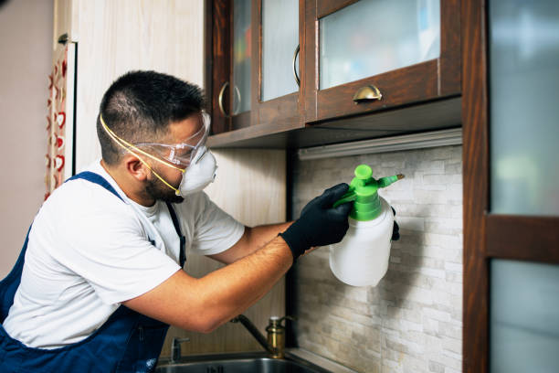 Best Emergency Pest Control  in Elon, NC