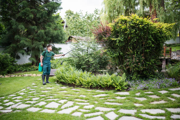Best Pest Removal Services  in Elon, NC
