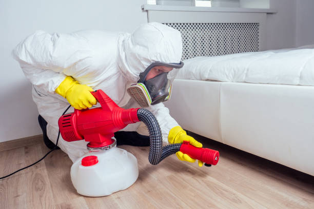 Best Affordable Exterminators  in Elon, NC
