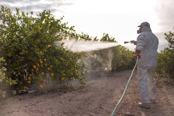 Reliable Elon, NC Pest Control Solutions