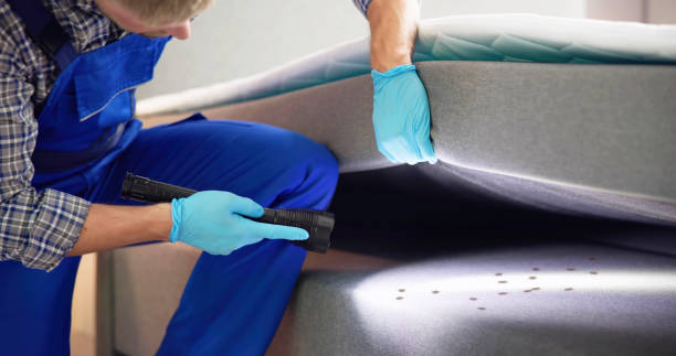 Best Exterminator Services  in Elon, NC