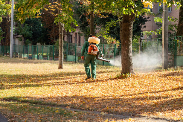 Best Affordable Pest Control Services  in Elon, NC